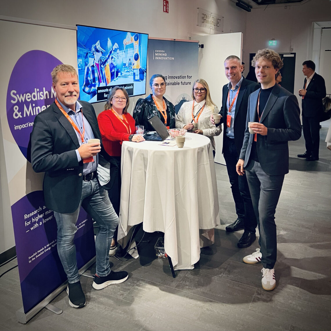 Program office Swedish Metals & Minerals